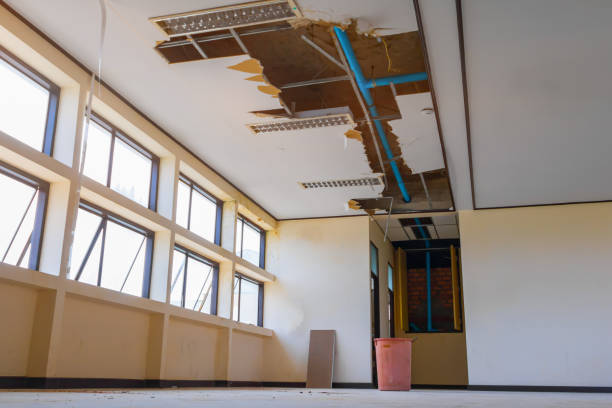 Best Carpet water damage restoration  in Twin Grove, IL