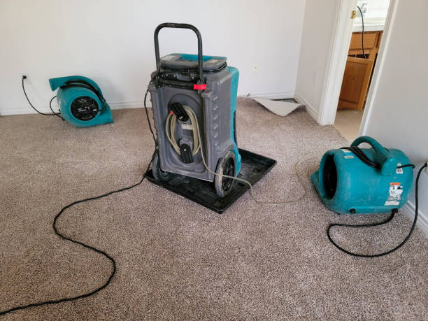  Twin Grove, IL Water damage restoration Pros