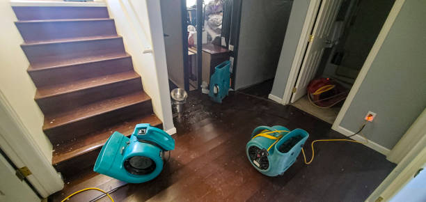 Best Flood damage cleanup  in Twin Grove, IL