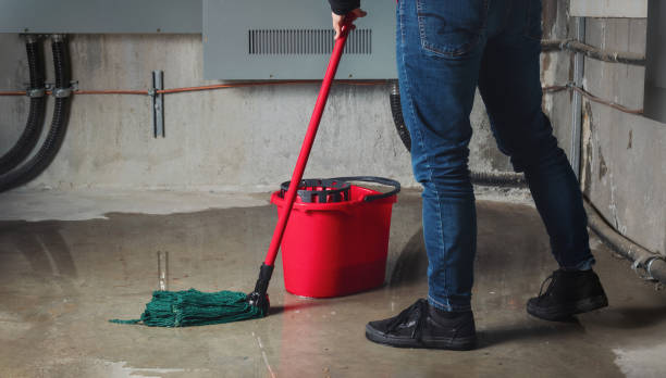 Best Local water damage restoration  in Twin Grove, IL