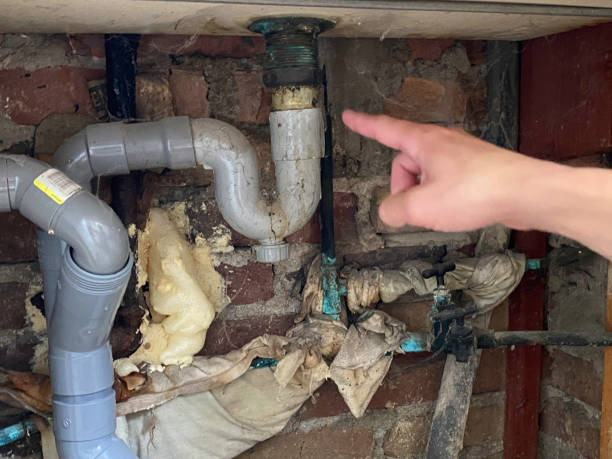 Best Water damage restoration near me  in Twin Grove, IL