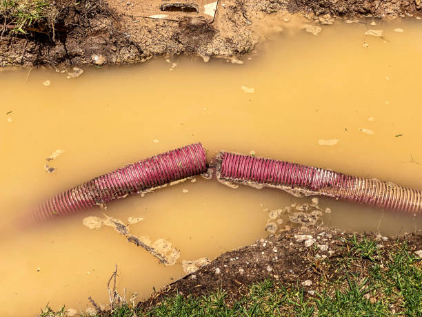 Best 24/7 water damage repair  in Twin Grove, IL