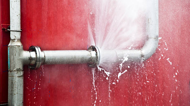 Best Emergency water damage restoration  in Twin Grove, IL