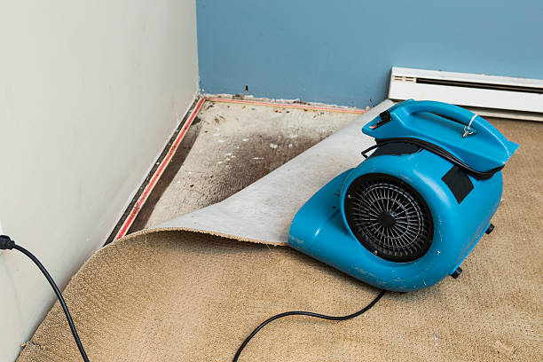 Best Commercial water damage restoration  in Twin Grove, IL